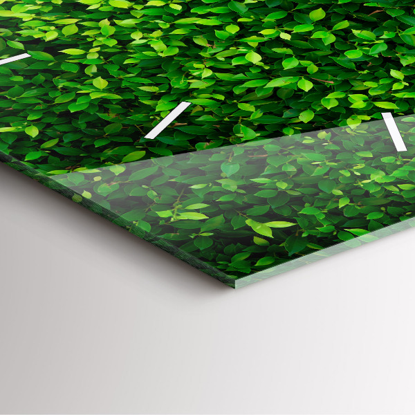 Skleněné hodiny čtvercové Listy živého plotu