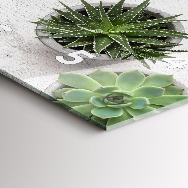 Skleněné hodiny čtvercové Dekorativní rostliny