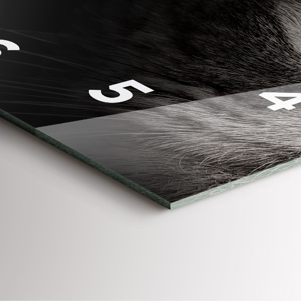 Skleněné hodiny čtvercové Skotský pes a kočka