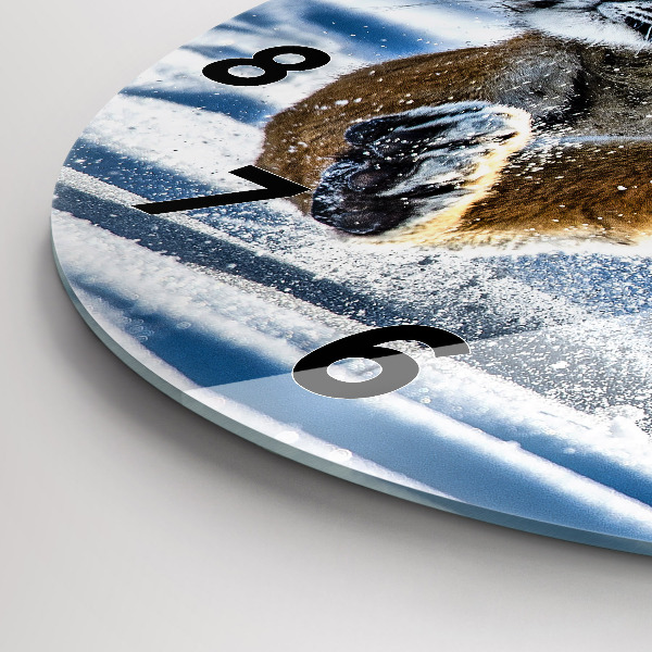 Kulaté skleněné hodiny s fotkou Skákající tygr