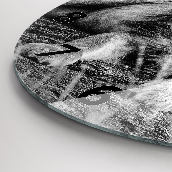 Kulaté skleněné hodiny s fotkou Abstraktní - Lev