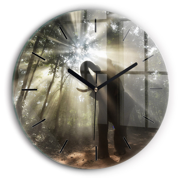 Kulaté skleněné hodiny s fotkou Slon v džungli