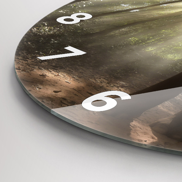 Kulaté skleněné hodiny s fotkou Slon v džungli