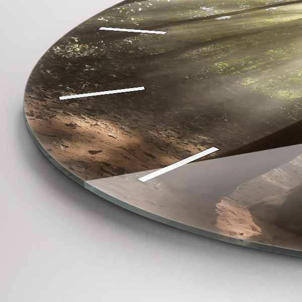 Kulaté skleněné hodiny s fotkou Slon v džungli