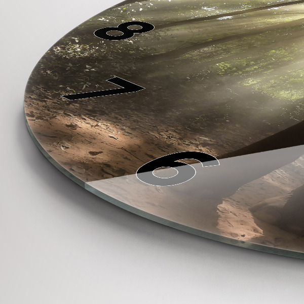 Kulaté skleněné hodiny s fotkou Slon v džungli