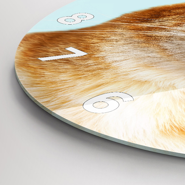 Kulaté skleněné hodiny s fotkou Legrační kočka s brýlemi