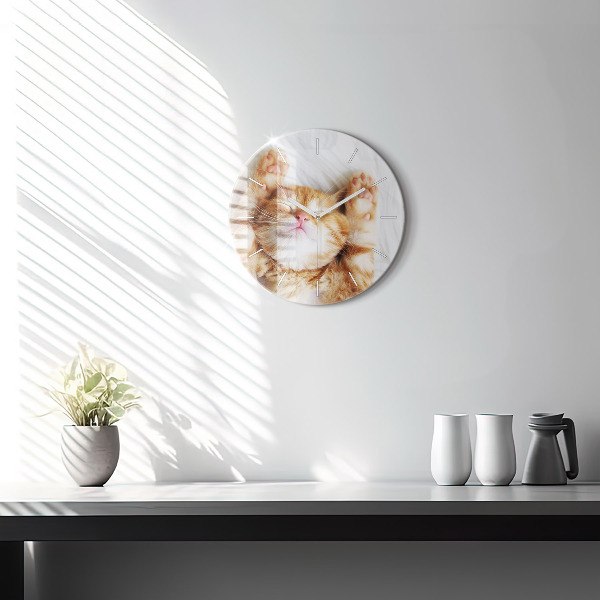Kulaté skleněné hodiny s fotkou Spící kočička