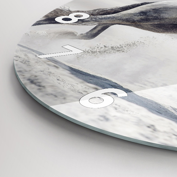 Kulaté skleněné hodiny s fotkou Cválající bílý kůň