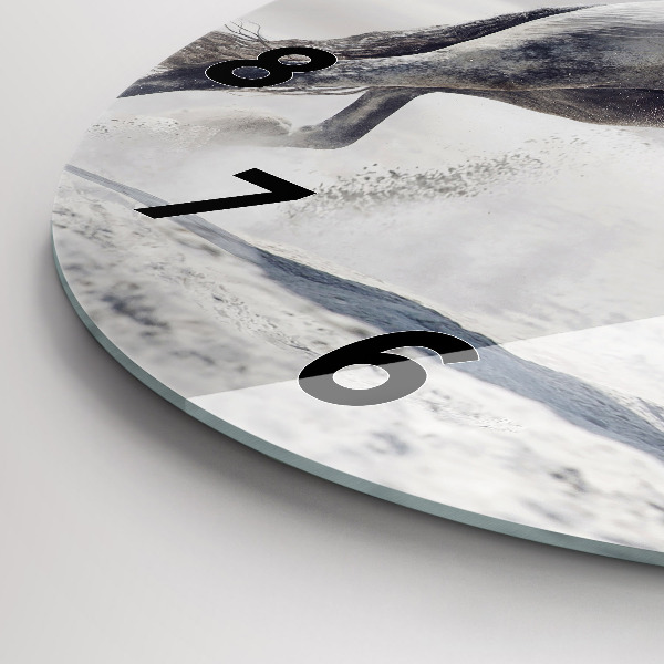 Kulaté skleněné hodiny s fotkou Cválající bílý kůň