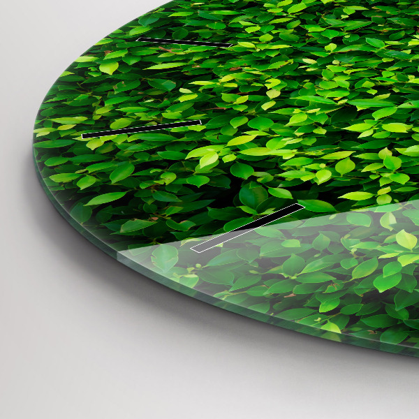 Kulaté skleněné hodiny s fotkou Listy živého plotu