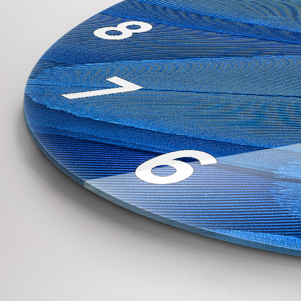 Kulaté skleněné hodiny s fotkou Ptačí pírko