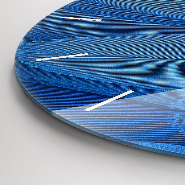 Kulaté skleněné hodiny s fotkou Ptačí pírko