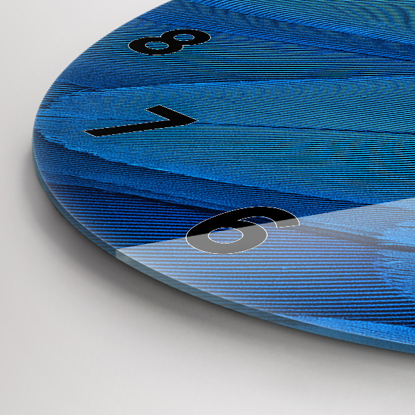 Kulaté skleněné hodiny s fotkou Ptačí pírko